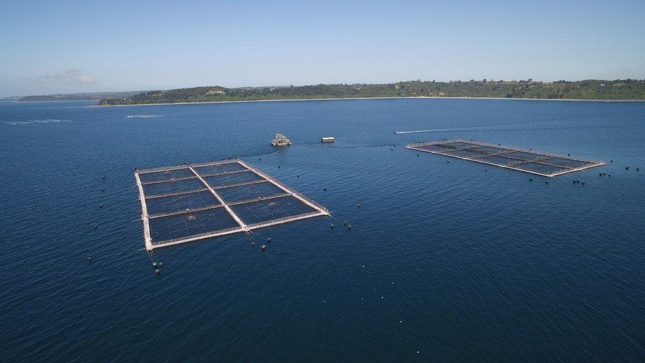 Salmonicultura en Reserva Nacional Kawésqar: Tribunal Ambiental anuló RCA de dos centros de cultivo de salmones de la empresa Nova Austral en Magallanes