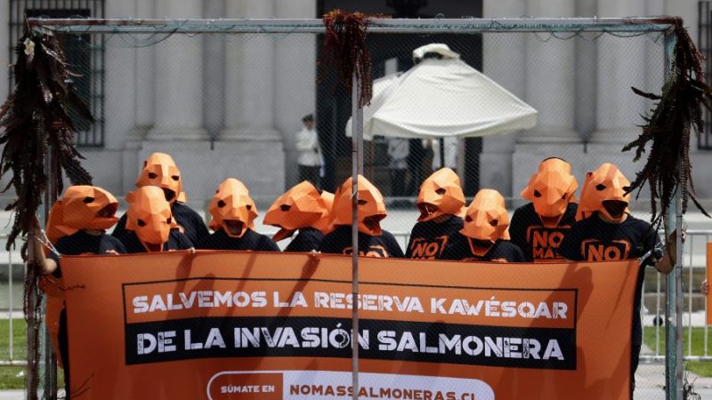 Estefanía González (Greenpeace): “Los gobiernos transversalmente han sido cómplices de las ilegalidades de la salmonicultura”