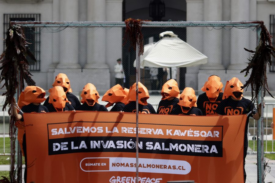 Estefanía González (Greenpeace): “Los gobiernos transversalmente han sido cómplices de las ilegalidades de la salmonicultura”