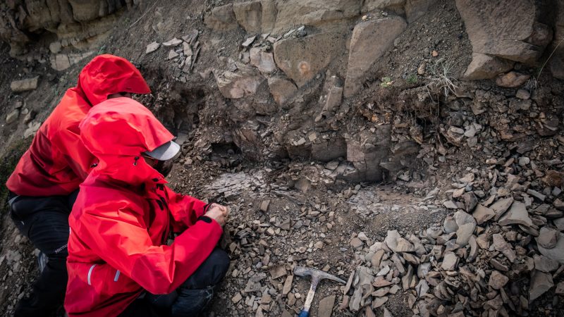 Desarrollan el primer registro de fitolitos de cerro Guido en Ultima Esperanza