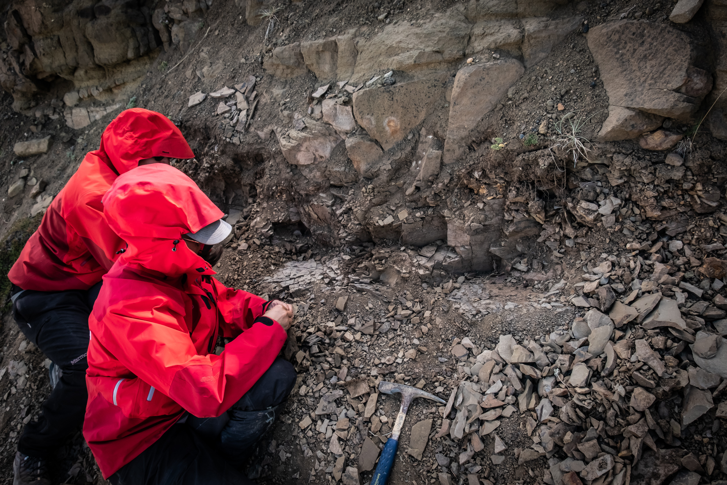 Desarrollan el primer registro de fitolitos de cerro Guido en Ultima Esperanza