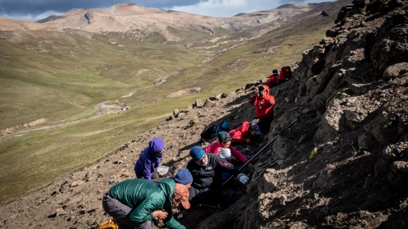 Megarraptores habrían dominado comunidad de dinosaurios carnívoros que habitaron la Patagonia chilena hace más de 70 millones de años