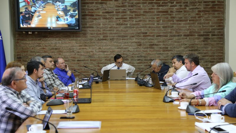 Consejo Regional de Magallanes expresa preocupación por financiamiento de la Educación previo al traspaso de establecimientos al SLEP