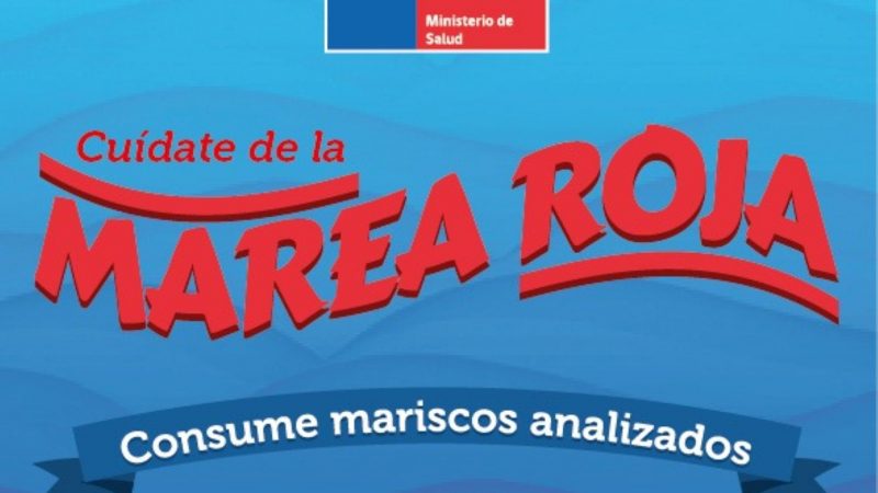 Ante aumento de decomisos de mariscos, Seremi de Salud Magallanes llama a informarse de áreas abiertas y siempre exigir certificado de análisis para descartar presencia de marea roja
