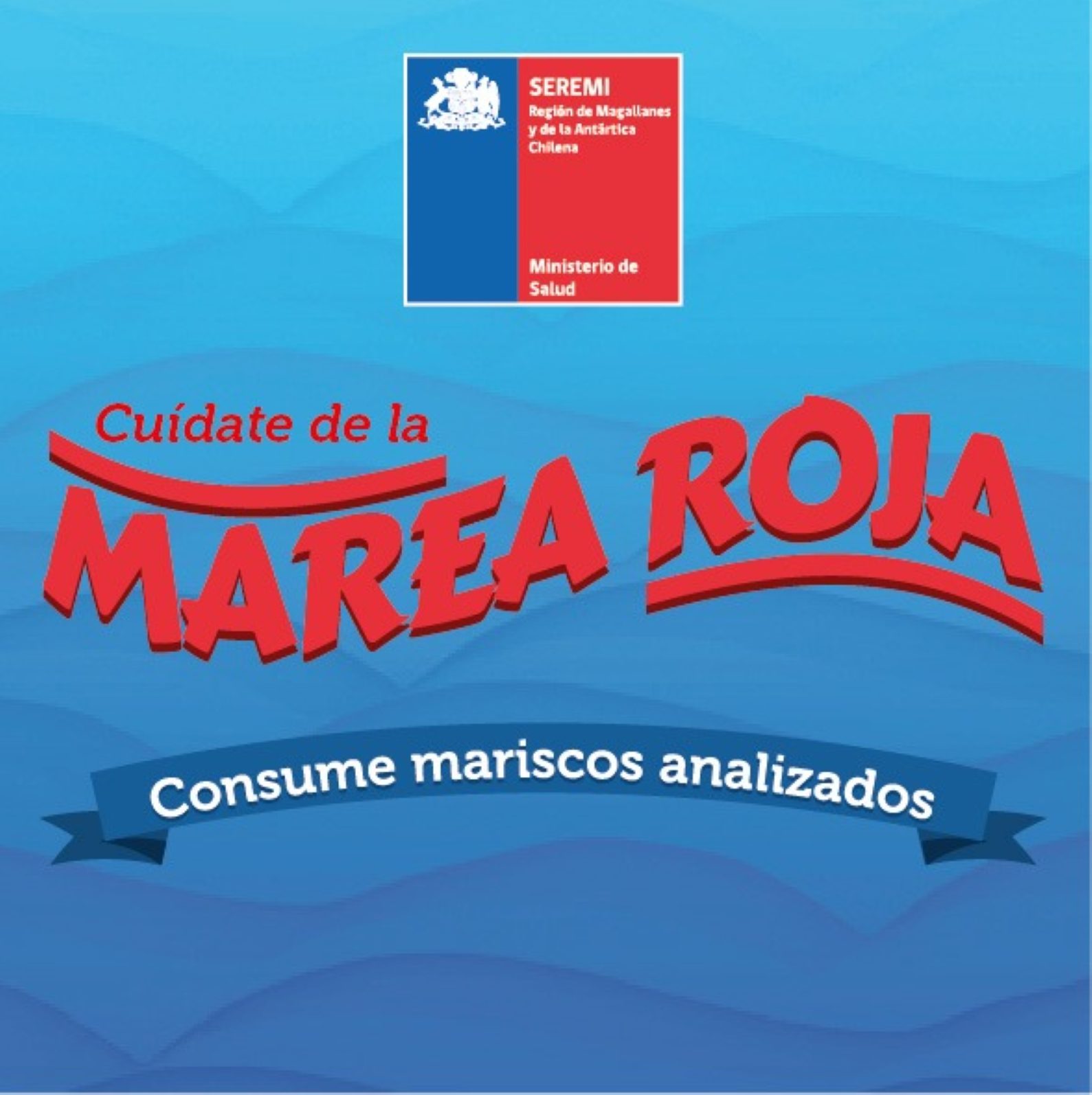 Ante aumento de decomisos de mariscos, Seremi de Salud Magallanes llama a informarse de áreas abiertas y siempre exigir certificado de análisis para descartar presencia de marea roja