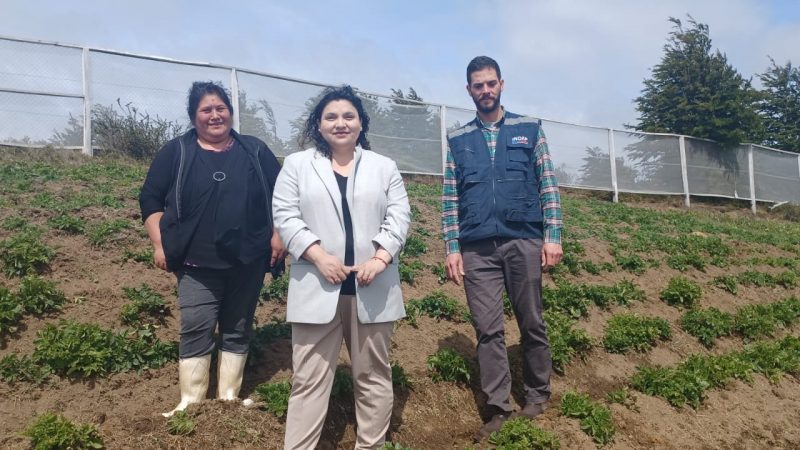 29 agricultores de INDAP fueron beneficiados en Magallanes con obras de riego el año 2022