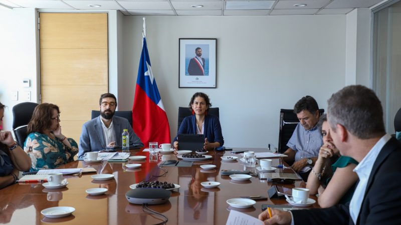 Consejo de Ministros para la Sustentabilidad aprueba incluir 68 nuevas especies de flora y fauna en listado de clasificación