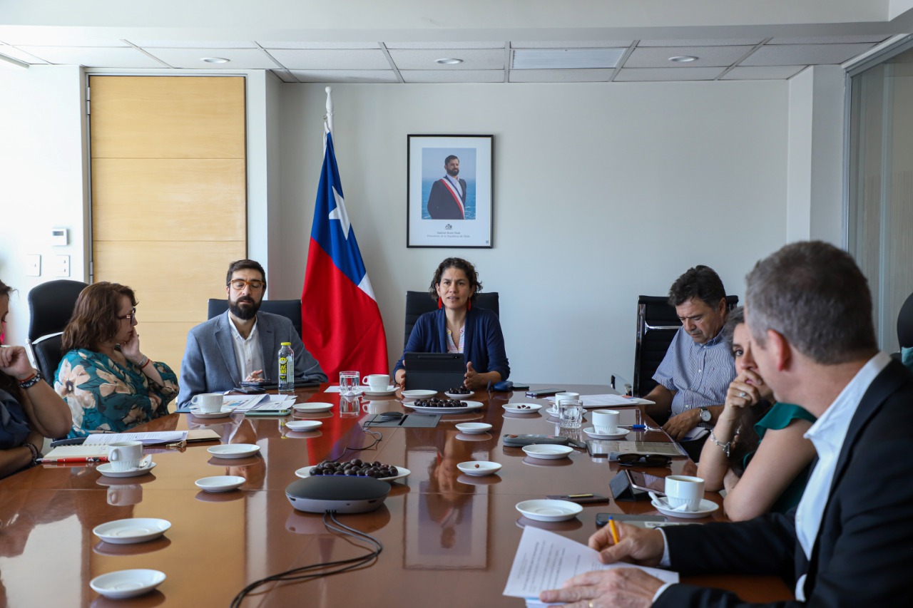 Consejo de Ministros para la Sustentabilidad aprueba incluir 68 nuevas especies de flora y fauna en listado de clasificación