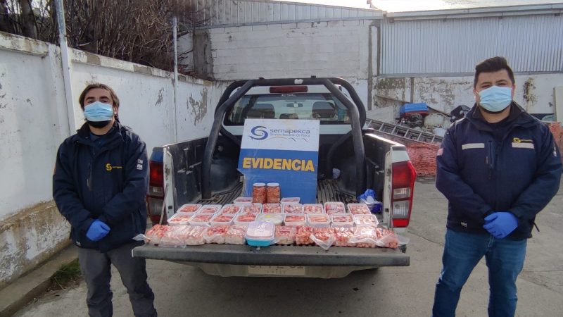 SERNAPESCA entrega balance 2022 de fiscalizaciones en torno a la centolla, el recurso emblemático de la región de Magallanes