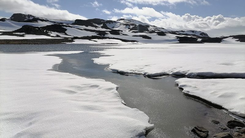 Descubren cómo se estructuran las comunidades microbianas en las masas de agua marinas de la Antártica.