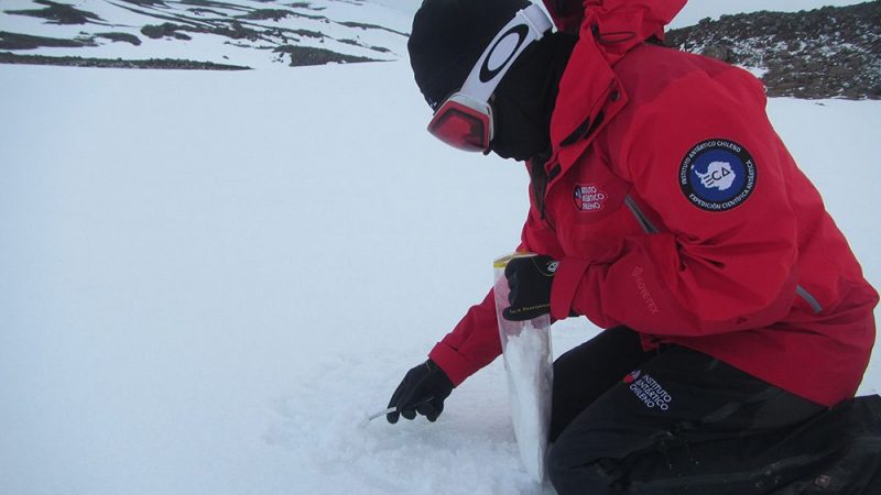 Inédito estudio del Centro IDEAL analizará conectividad entre ecosistemas de hielo, nieve y agua en Antártica