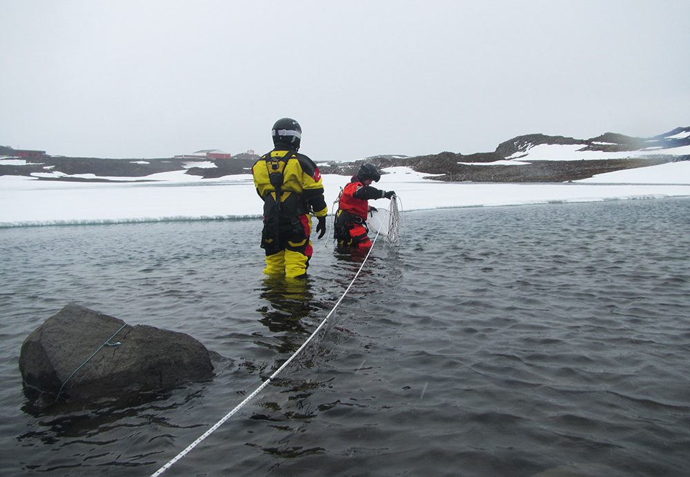 Investigación del Centro IDEAL en el lago Kitiesh, el más grande de Isla Rey Jorge en Antártica