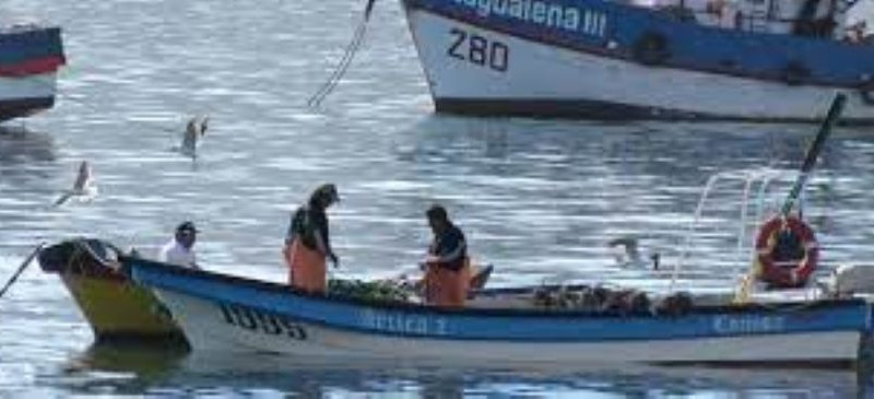 Pescadores artesanales reaccionan a la presentación del libro «Propuestas para una política pesquera en Chile» | No se menciona el fraccionamiento ni un enfoque de género