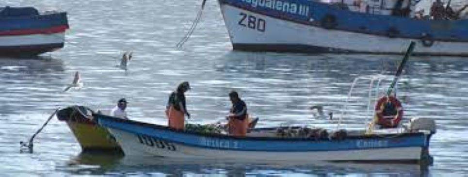 Pescadores artesanales reaccionan a la presentación del libro «Propuestas para una política pesquera en Chile» | No se menciona el fraccionamiento ni un enfoque de género