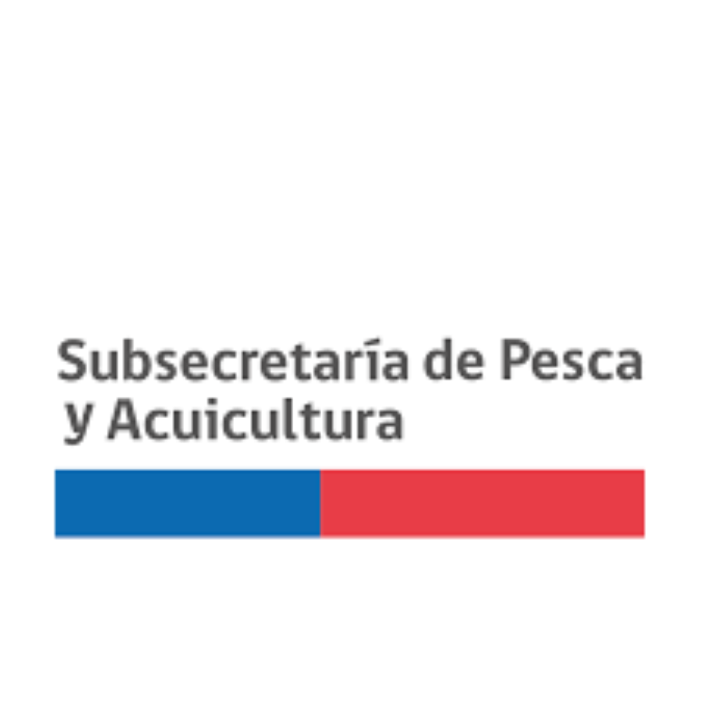 Subsecretaría de Pesca reúne a organizaciones de la pesca artesanal preparando la reunión de la Organización Regional de Pesca del Pacífico Sur