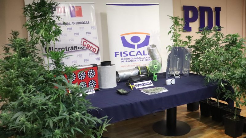 Equipo “MT-0” de la PDI de Punta Arenas detuvo a un hombre por infracción a la Ley 20.000