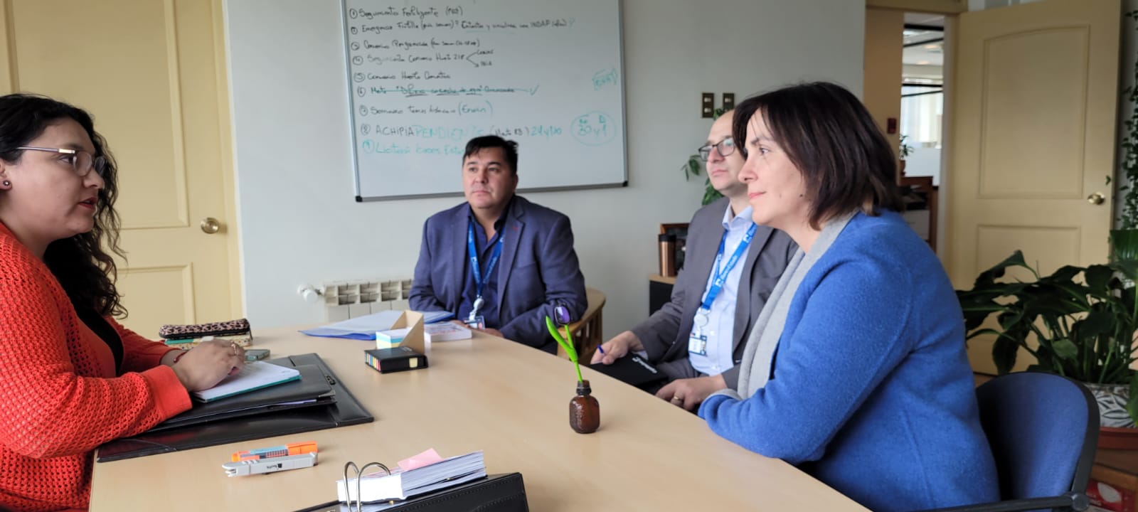 SEREMI de Agricultura y Banco Estado anuncian continuidad crédito Siembra por Chile | Gestión habría sido solicitado por el sector ganadero