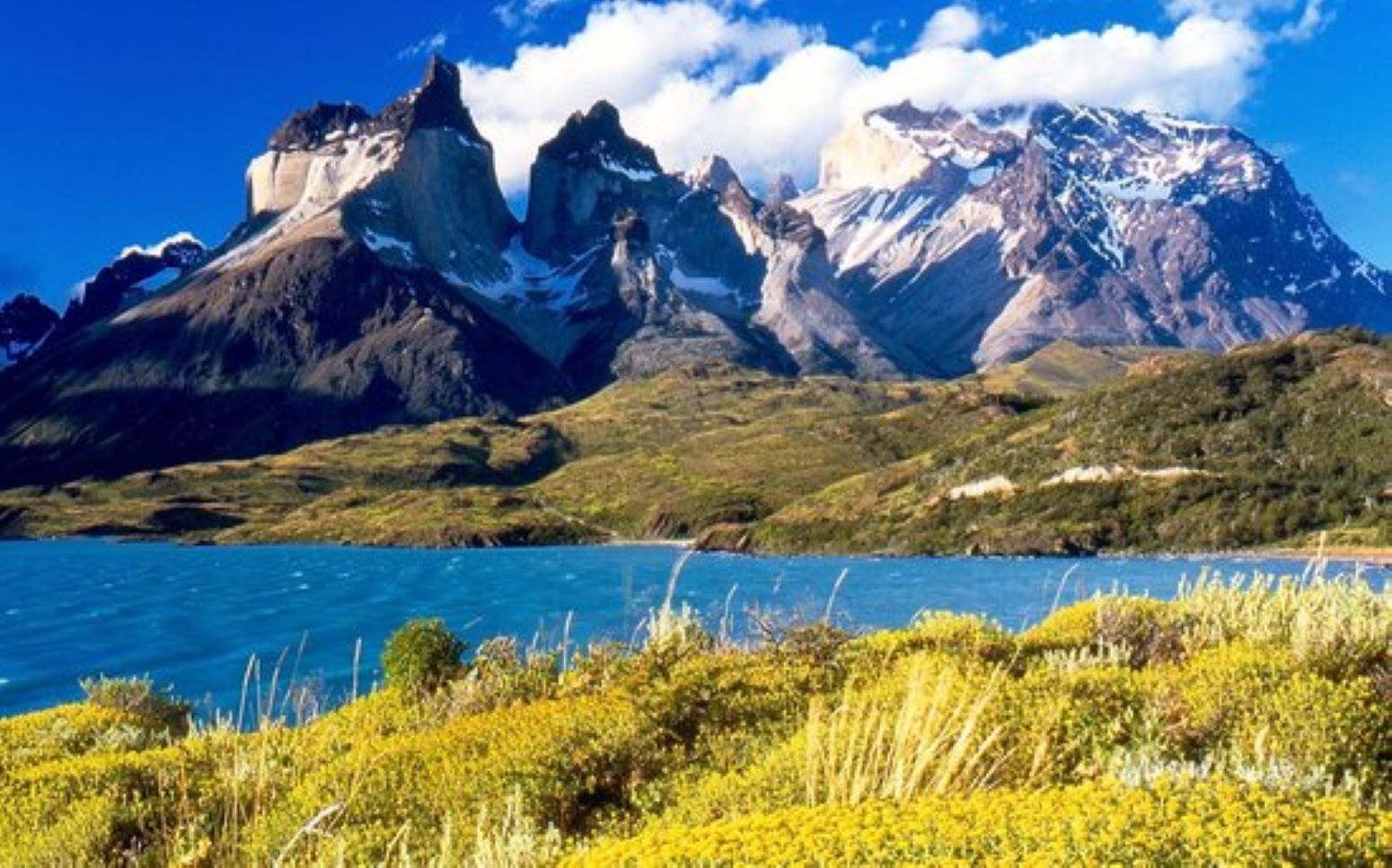 Turista estadounidense fallece durante circuito en el Parque Nacional Torres del Paine