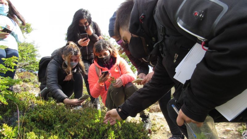 La educación ambiental más allá del aula