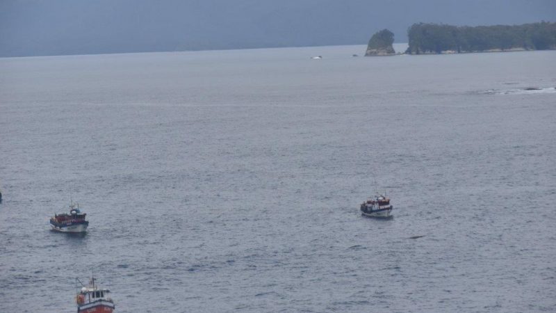 Sernapesca sorprende a 46 embarcaciones en zona de pesca de Aysén incumpliendo la normativa pesquera