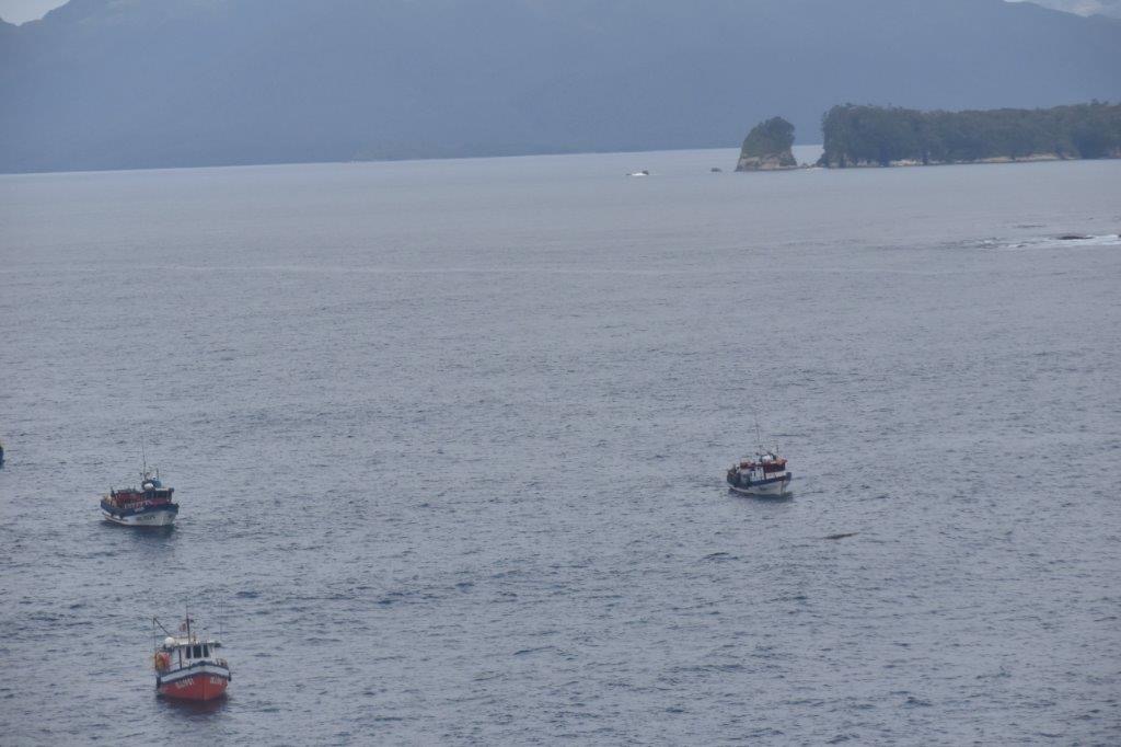 Sernapesca sorprende a 46 embarcaciones en zona de pesca de Aysén incumpliendo la normativa pesquera