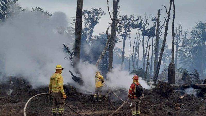 Autoridades hacen un llamado a extremar las medidas de prevención de incendios forestales 