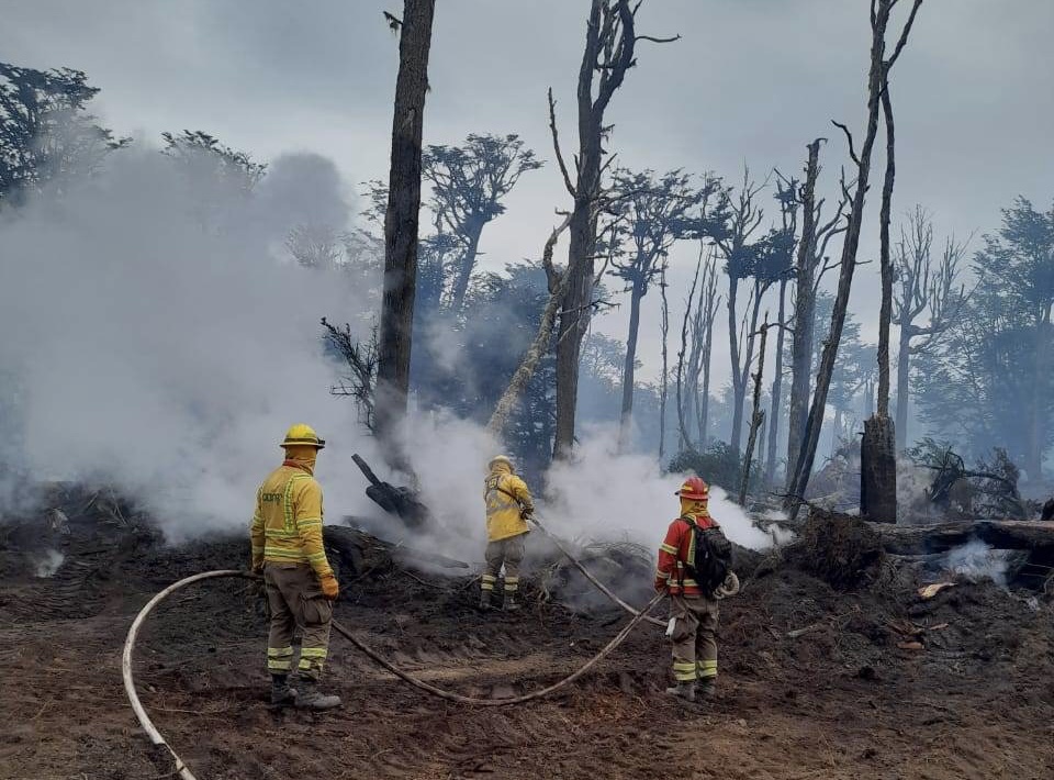 Autoridades hacen un llamado a extremar las medidas de prevención de incendios forestales 