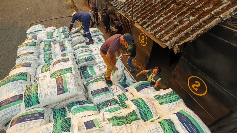 INDAP dispuso ayudas para agricultores y agricultoras de las regiones del Maule hasta Los Ríos afectados por incendios forestales
