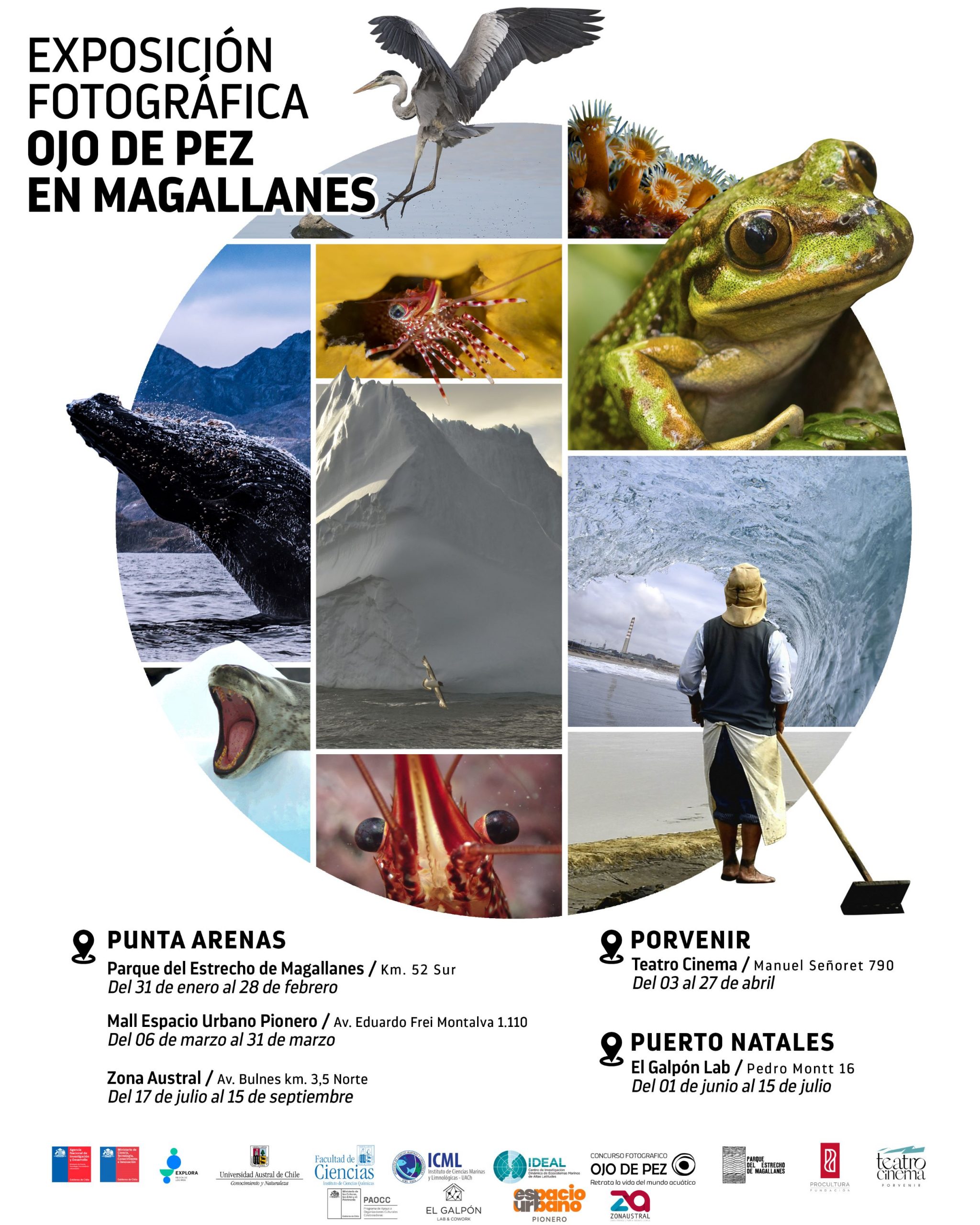 Exposición fotográfica Ojo de Pez se presenta en la región de Magallanes