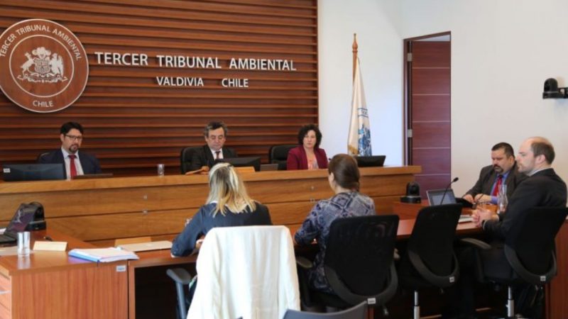 Continúan las audiencias en reclamaciones de Nova Austral contra SMA por revocación de RCA ante sobreproducción de salmones en Magallanes