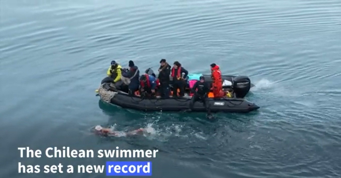 Nadadora chilena Bárbara Hernández nadó 2.5 kms en aguas de la Antártica