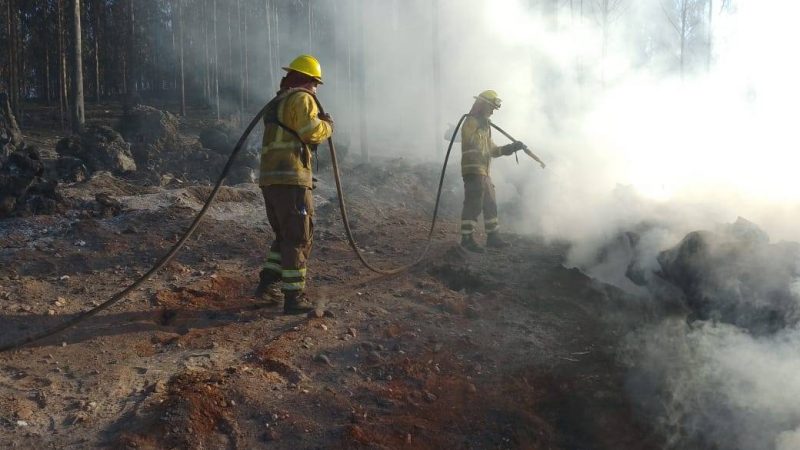 Botón Rojo: Conaf usa nuevo sistema predictivo de áreas en peligro de incendio