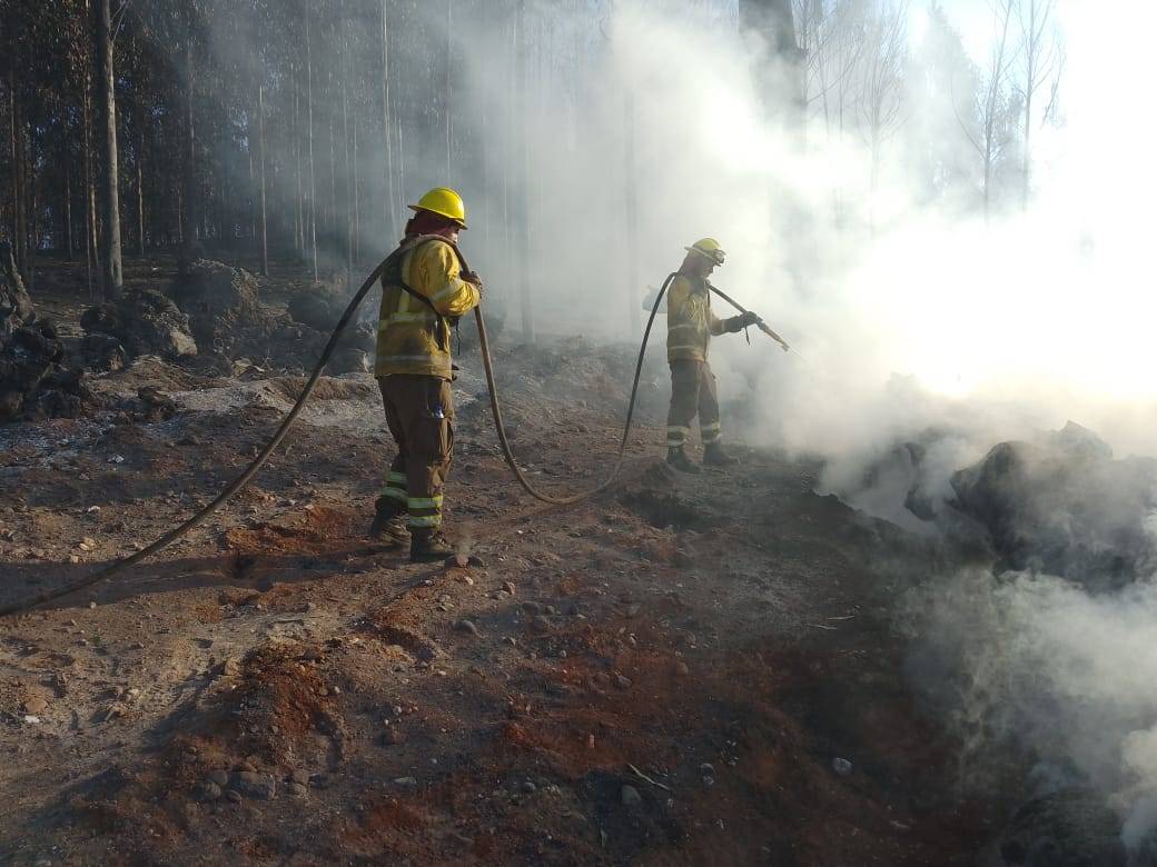 Botón Rojo: Conaf usa nuevo sistema predictivo de áreas en peligro de incendio