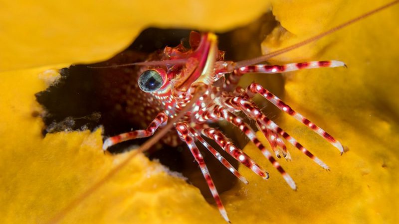 Exposición fotográfica Ojo de Pez comenzó su recorrido por la región de Magallanes