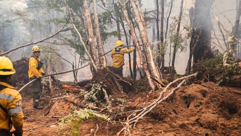 Brigadistas continúan luchando contra los incendios forestales en Tierra del Fuego argentina