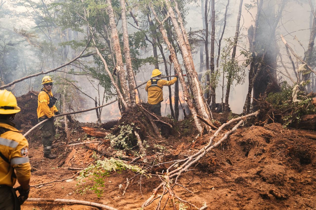Brigadistas continúan luchando contra los incendios forestales en Tierra del Fuego argentina