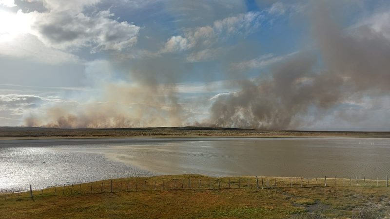 Incendio de pastizales en Estancia 12 de Febrero en Tierra del Fuego se extiende más de 7 km | SENAPRED declara alerta amarilla por incendio forestal