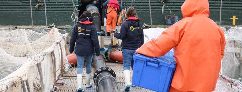 SERNAPESCA constata ausencia de diseminación de virus ISA patógeno en la región de Magallanes