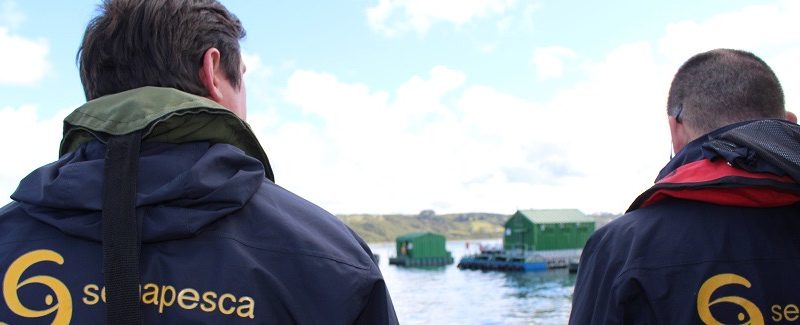 Sernapesca activa fiscalizaciones por sospecha de virus ISA en Centro Punta Entrada, Magallanes
