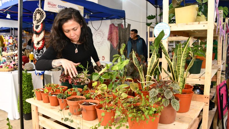 Hasta el domingo 12 de marzo puedes visitar la feria municipal Mujer Emprendedora en Zona Franca