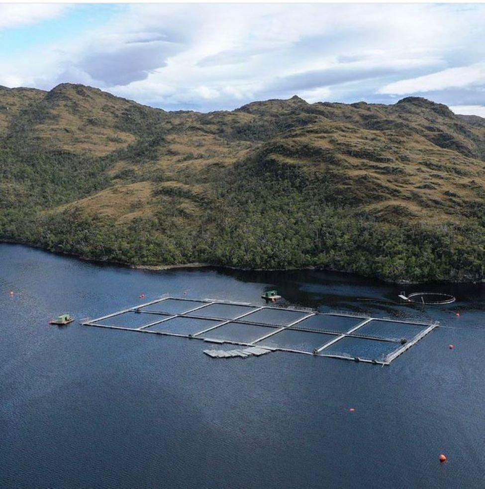 Tercer Tribunal Ambiental acogió parcialmente reclamación contra centro de cultivo de salmones de Nova Austral en la Reserva Nacional Kawésqar