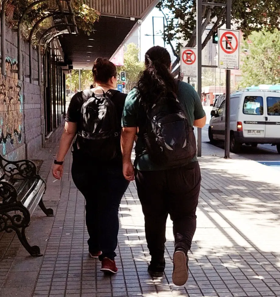 Obesidad, la otra pandemia en Chile y en América Latina | Gustavo González | IPS Noticias