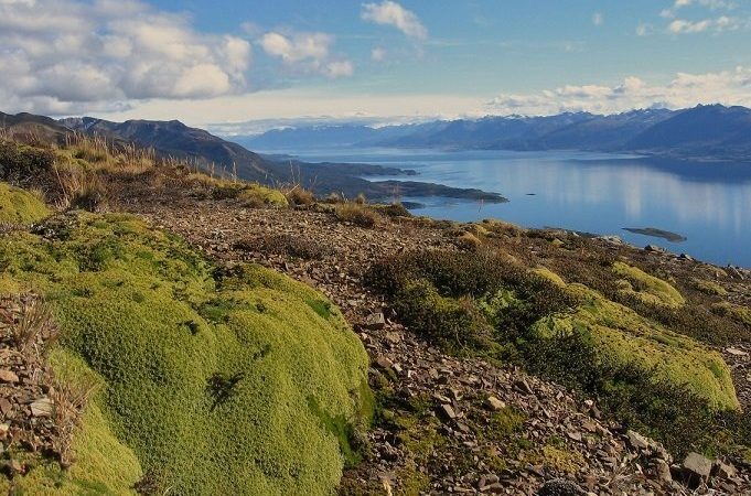 Chubascos de lluvia, temperaturas hasta 17°C y vientos hasta 80 kmh se pronostican hoy en Magallanes