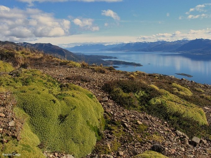 Chubascos de lluvia, temperaturas hasta 17°C y vientos hasta 80 kmh se pronostican hoy en Magallanes
