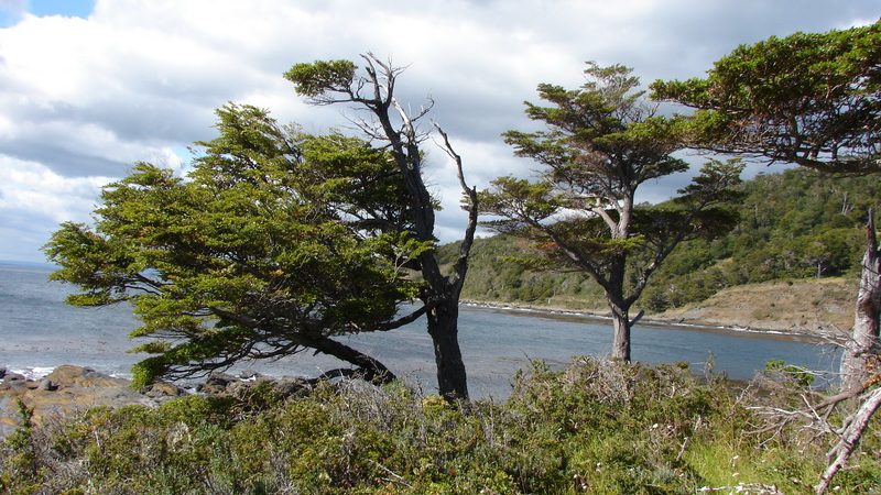 Chubascos de lluvia y aguanieve se pronostican este viernes 3 de marzo en Magallanes