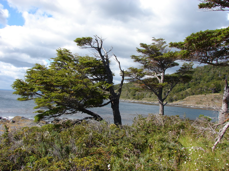 Chubascos de lluvia y aguanieve se pronostican este viernes 3 de marzo en Magallanes