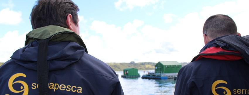 SERNAPESCA activa fiscalizaciones por sospecha de virus ISA en Centro de cultivo de salmones Punta Entrada en la región de Magallanes
