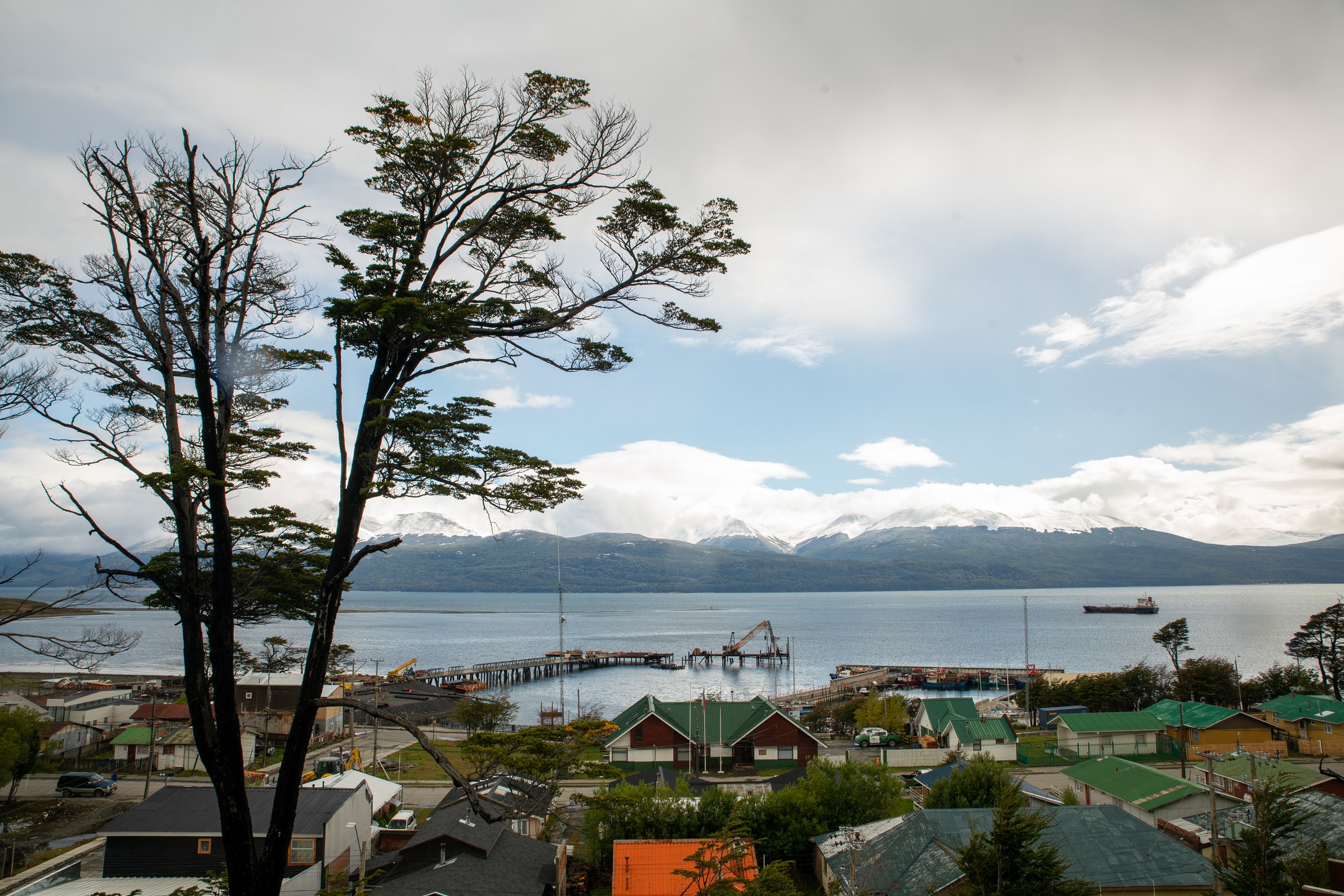 El auge turístico de Puerto Williams, la ciudad más austral del mundo