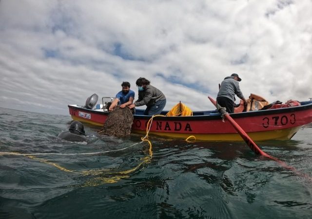 Industria salmonera y acuicultura a pequeña escala: controvertida Resolución de Subpesca genera malestar en comunidades