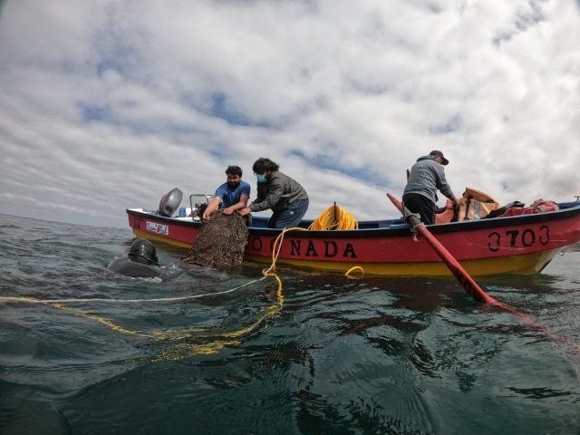 Industria salmonera y acuicultura a pequeña escala: controvertida Resolución de Subpesca genera malestar en comunidades